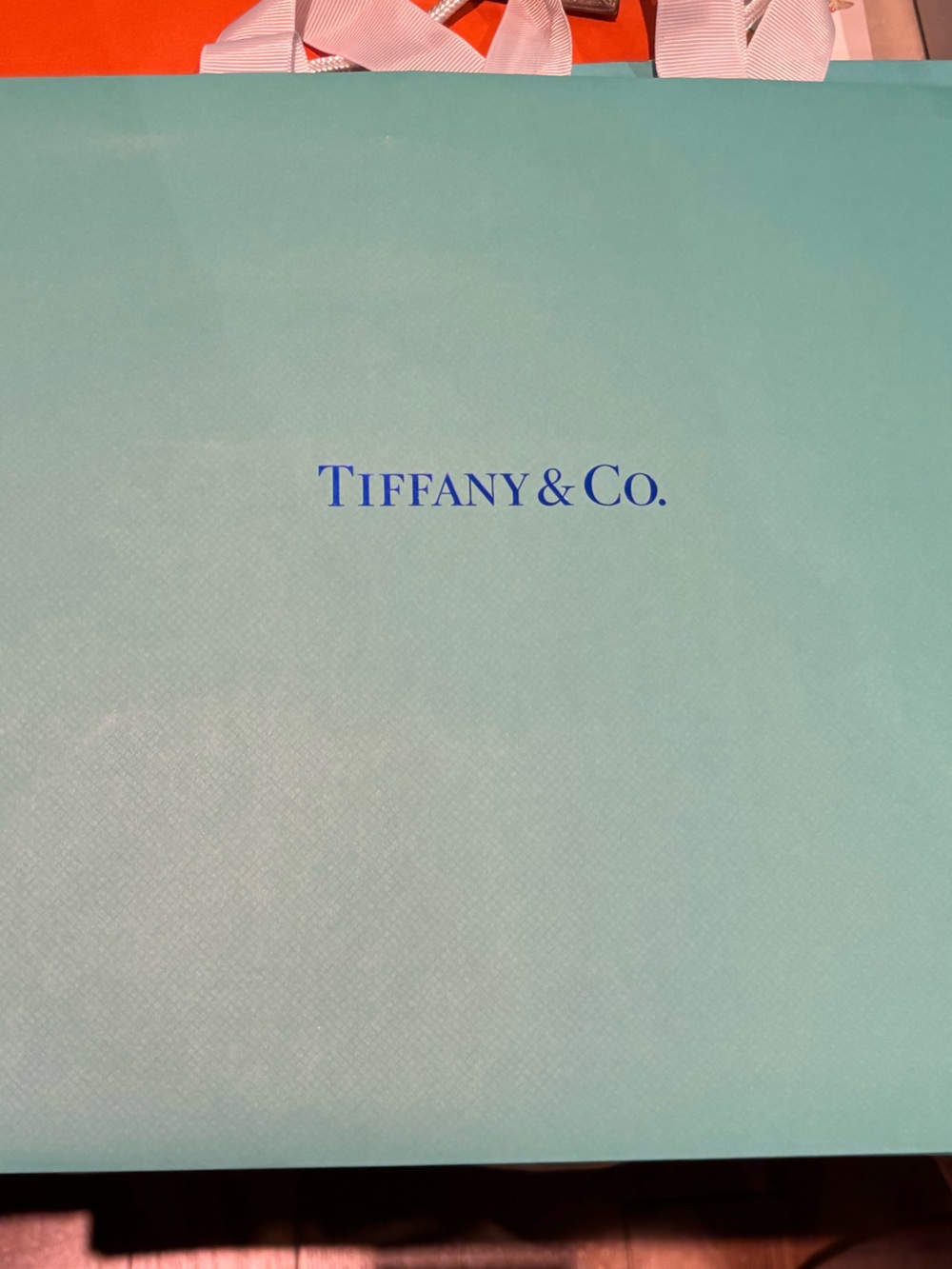 Tiffany & Co. Robin's Egg Blue Shopping Bag with Blue Logo